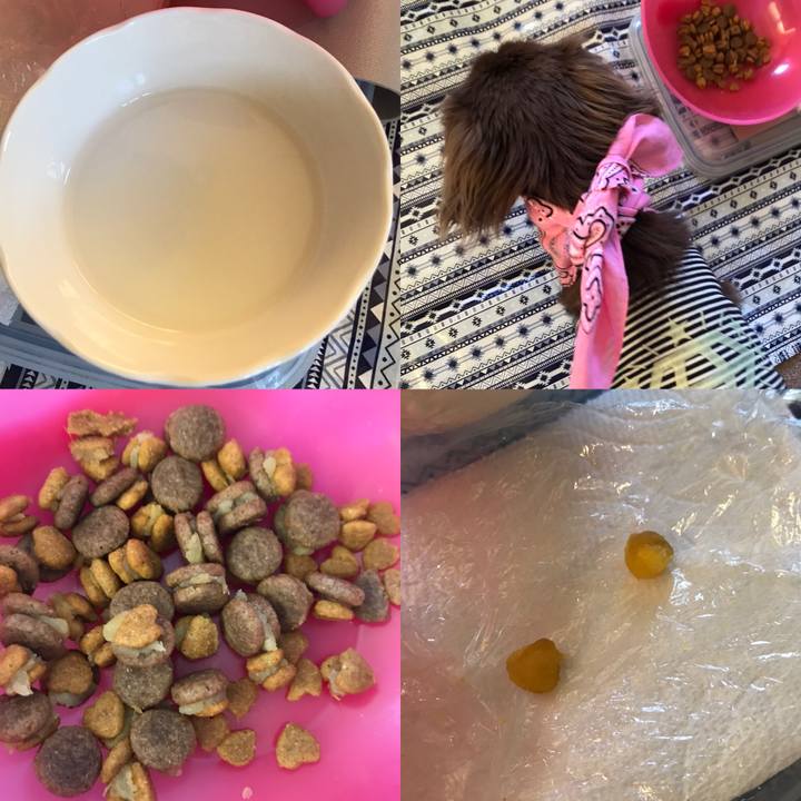 Bc559d99 533c 4d87 8bc8 d295a061bc2a 1592656844662