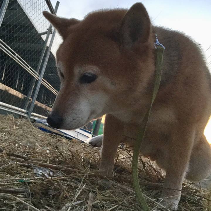 Bc55c0b5 b6f9 4b7d bf56 af0c8b2c0e43 1611568108987