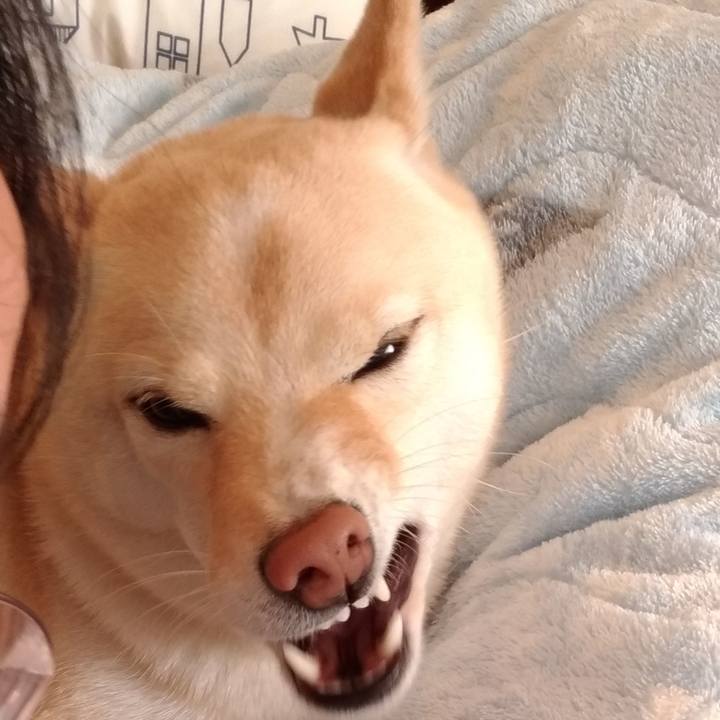 Bc55da18 a956 4ad4 bf05 521ff152b935 1609370648711