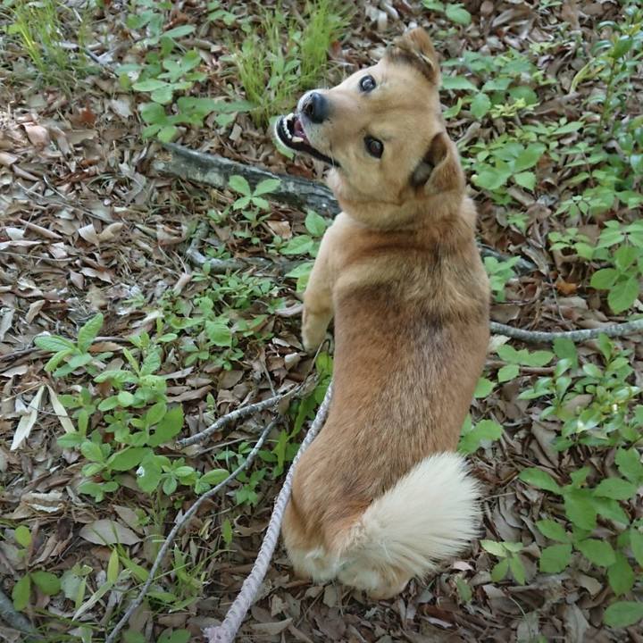 Bc55df0e 7044 48d1 8f6f 55ba1ee251ab 1652449909259