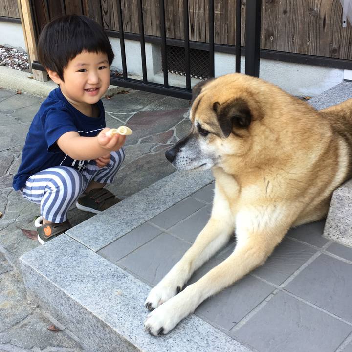 Bc560de8 d91f 4d45 bcd1 f7a5310541b9 1528083135271