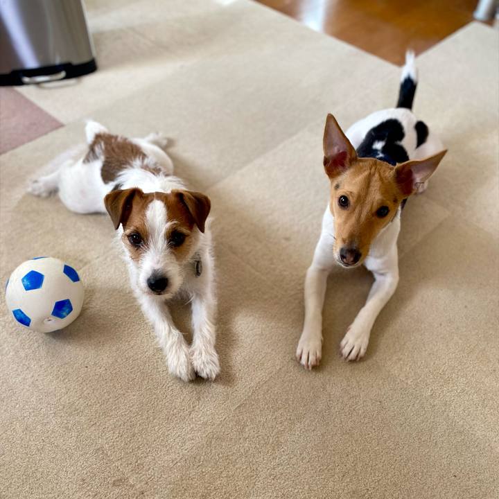 Bc562636 c62b 4b80 9ae9 606bd13f03a1 1774058885783