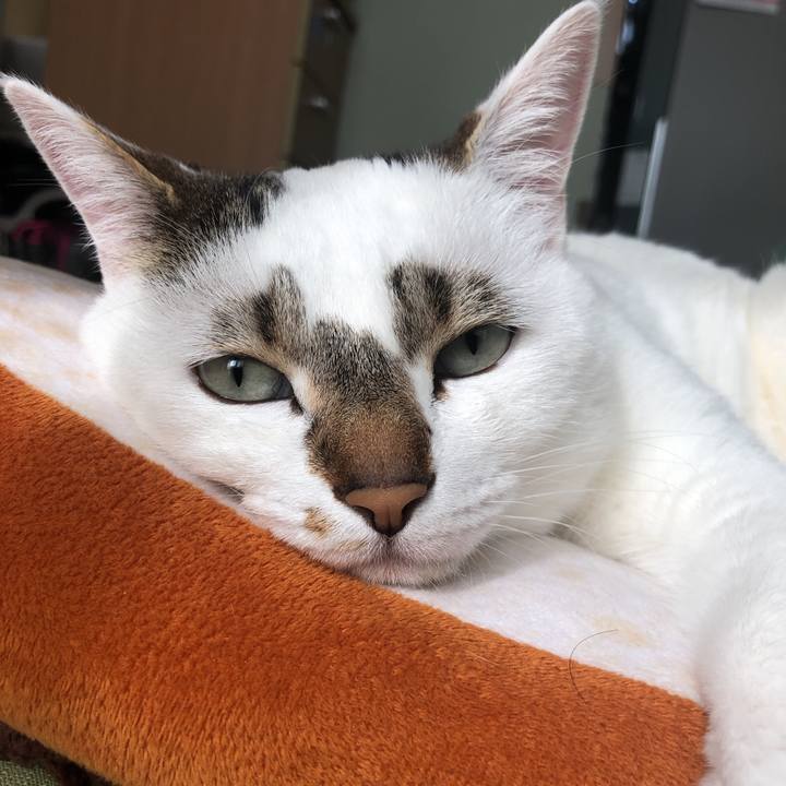 Bc562f31 2d1e 42c0 b670 cebb27261b4c 1550812817734