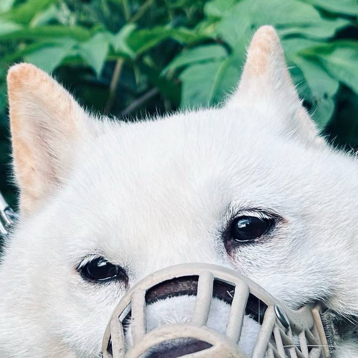 Bc564065 62b0 447d 873b 97d4187f7bf9 1750021768182