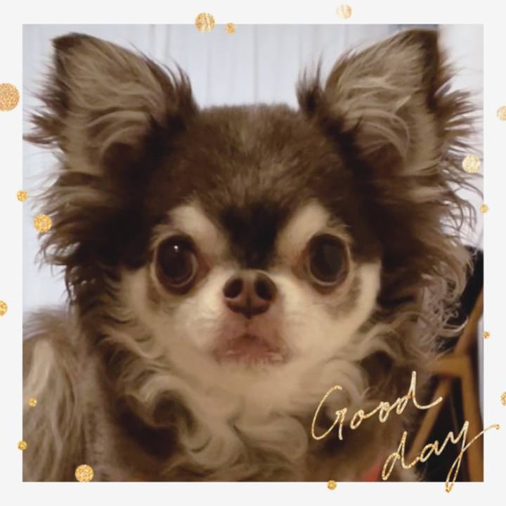 Bc56c78c b997 435b b306 f16f1652a84c 1659763372652