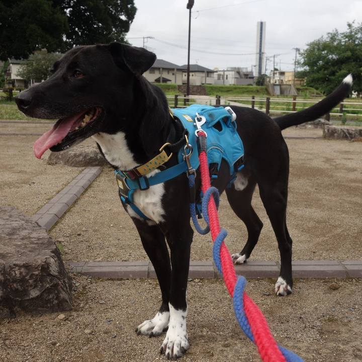 Bc56ca7a dda5 402b b100 5719167802a3 1624754036302