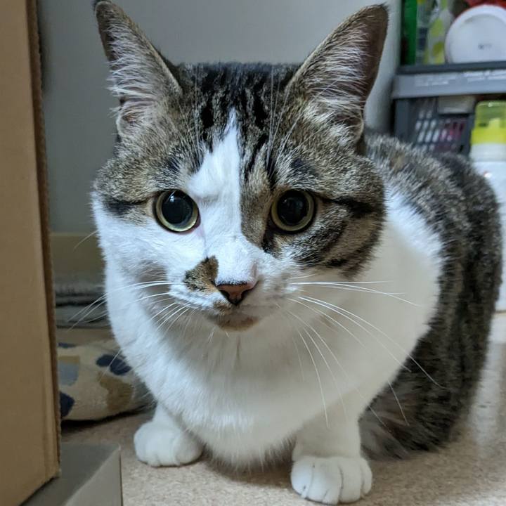 Bc56d2d0 f5e6 4fd2 ad44 9b190052e4da 1717252954734