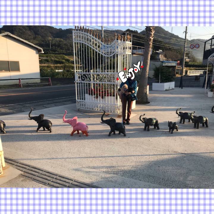 Bc56d4ab 59a1 4284 8dcb 7bafce5cf16b 1540292611981