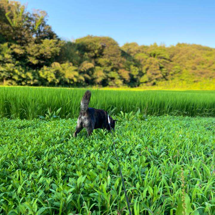 Bc56e18b d62f 4bca bf4a 5a17ce120896 1596279481926