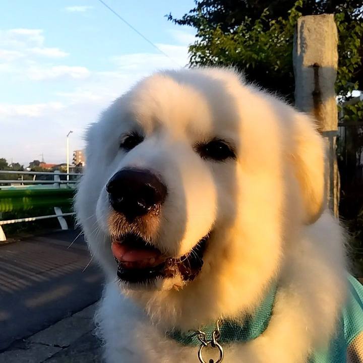 Bc56e3db 4e13 47d3 9a05 cee36ea5633b 1692140367054