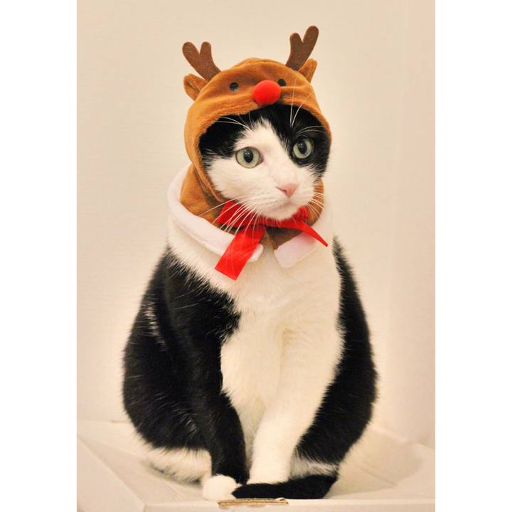 Bc56e458 19cf 4a59 b0bf e7f24787684c 1577232926877