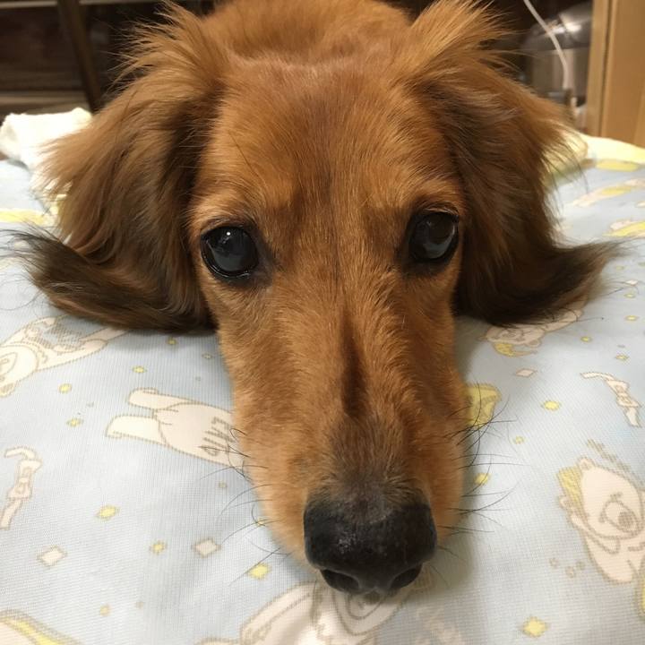 Bc571788 8fb5 46f3 bc89 81d5416f6193 1530885028871