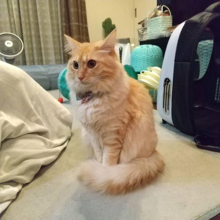 Bc571b9d 4da1 4ca5 8d7b 2b107c222a83 1637878556057