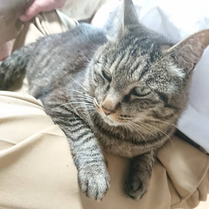 Bc5739b3 27ba 4dd9 8697 dac2844d90dc 1655682530792