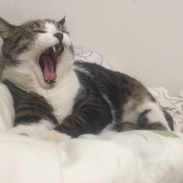 Bc576589 d085 48c6 a69d b3df5c3fa8ff 1511349938932