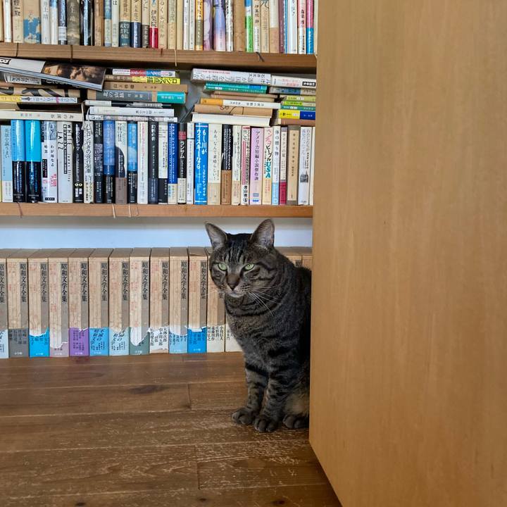 Bc578a63 ec9f 4699 aebb 86dc74afea66 1690329674437