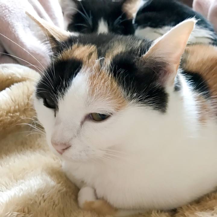 Bc57f65d 76cf 4b01 9437 5fc217bddf7a 1516152303724