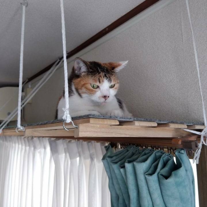 Bc580946 8bc5 42df af97 2346ea92de4b 1611190765394