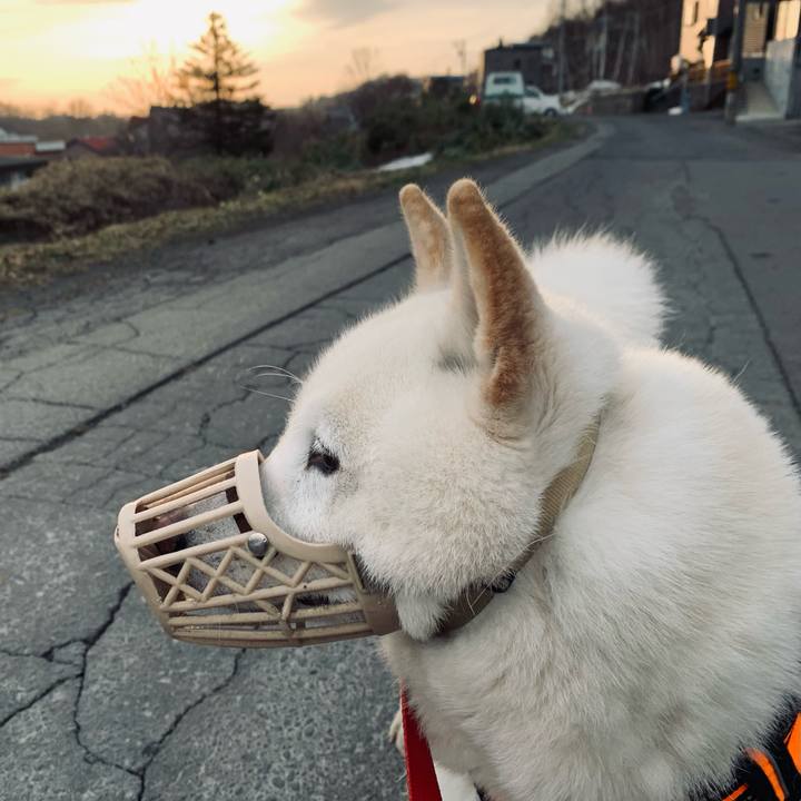 Bc5818b6 055f 4673 bd30 e7b195451cf7 1618262036503