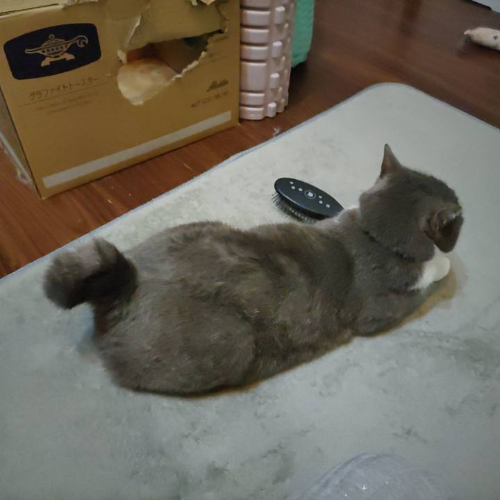 Bc5829f4 a915 45df b2e7 59183faf2bc7 1717325404476