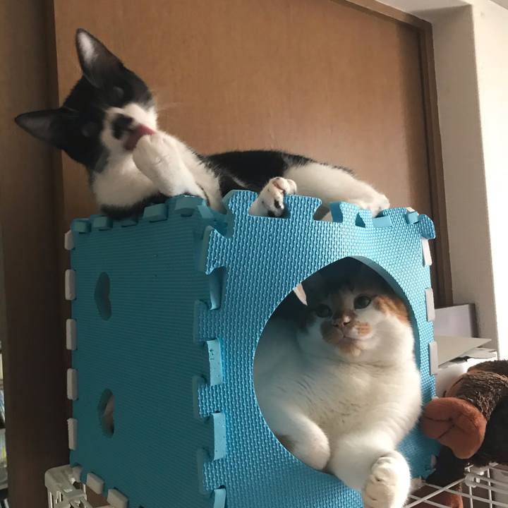 Bc5845f5 6d2e 4bba 8006 4f81675c7755 1603581262682