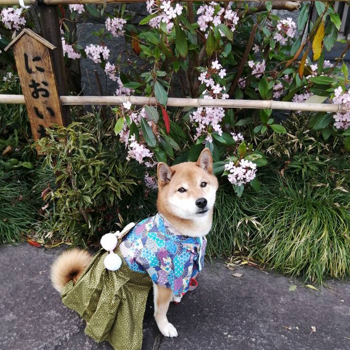 Bc584e86 f508 46b0 8b22 4ea002497a41 1581080079709