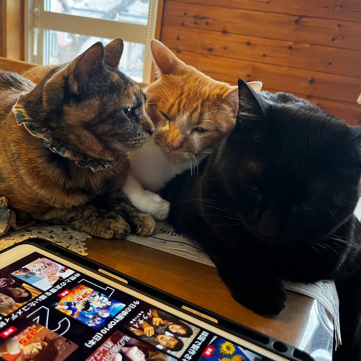 Bc588c47 62b0 4be7 9fa3 e5b6aa22e843 1711833665976