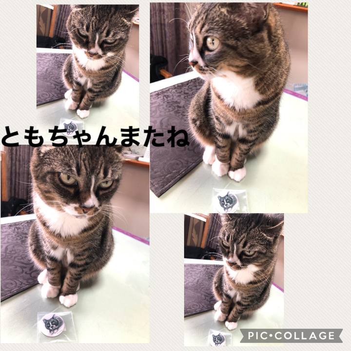 Bc58a123 8a81 4db6 a6a1 e02c16602d7e 1619048068618