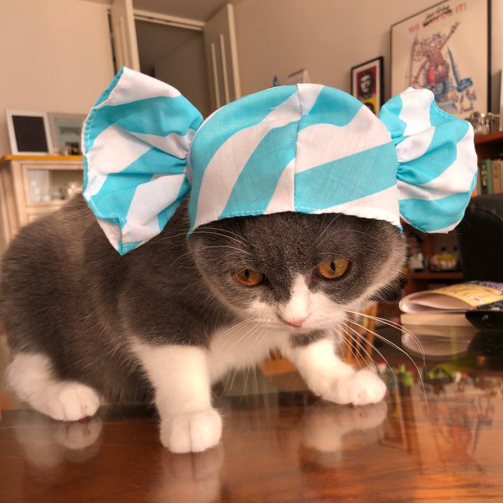 Bc58c46c 52d3 444f 97df 728366d556ca 1527985798114