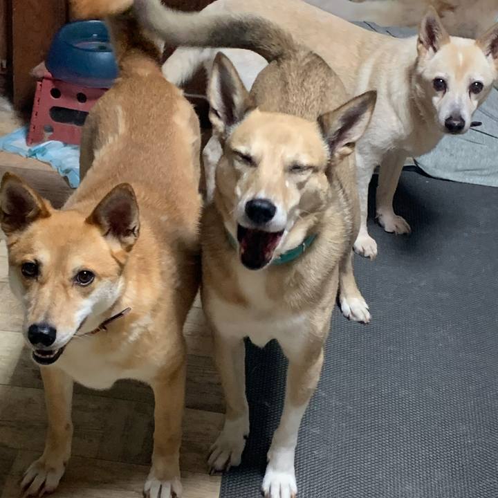 Bc58ca1a 54e8 4013 9b41 7d6beeb6ca99 1655006771117