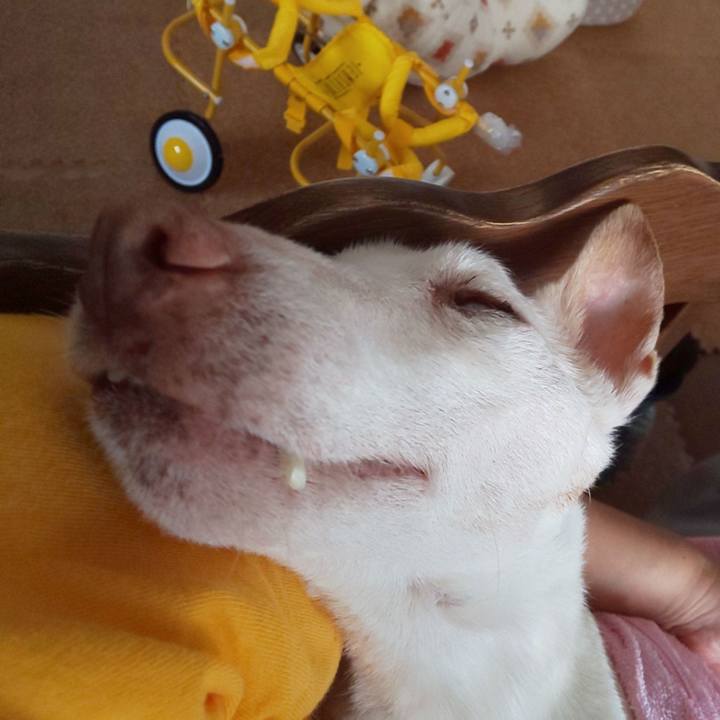 Bc58cc33 3566 4c89 bd1b d781200fd647 1599106559863