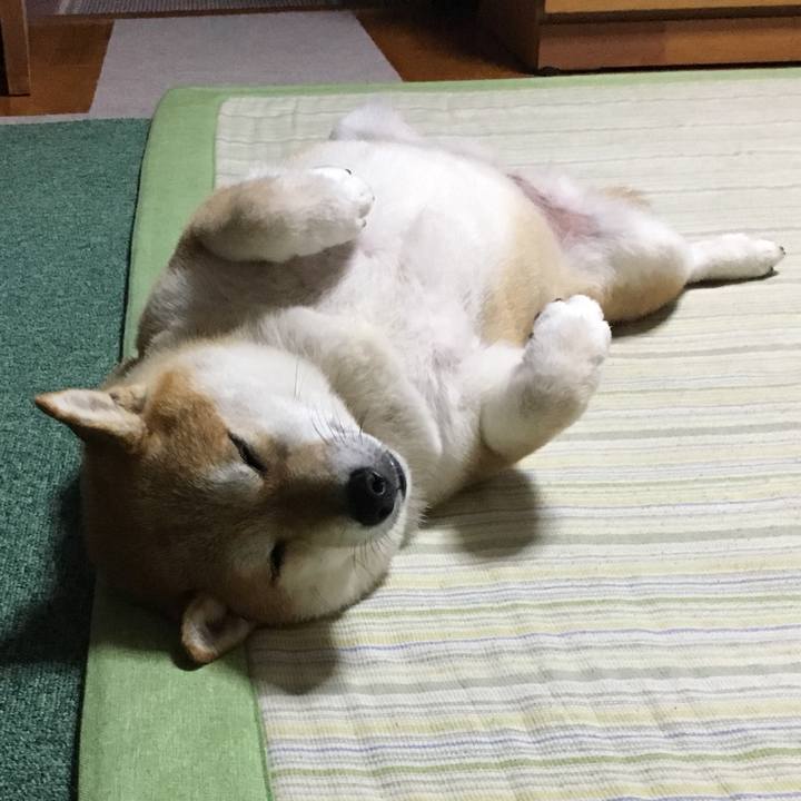 Bc58d8b2 a119 4885 b363 a258750e697b 1560247273280