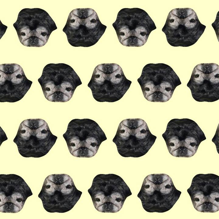 Bc58e67c 823d 4608 a151 65e6da43d2c4 1527951458811