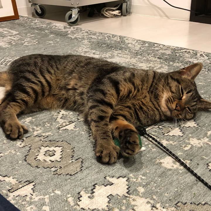 Bc58f652 7891 4f3d aee3 2f57df371fec 1526260724766