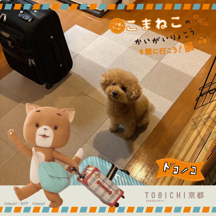 Bc58f75f 49c8 40ee aa94 3335506e362b 1740655878797