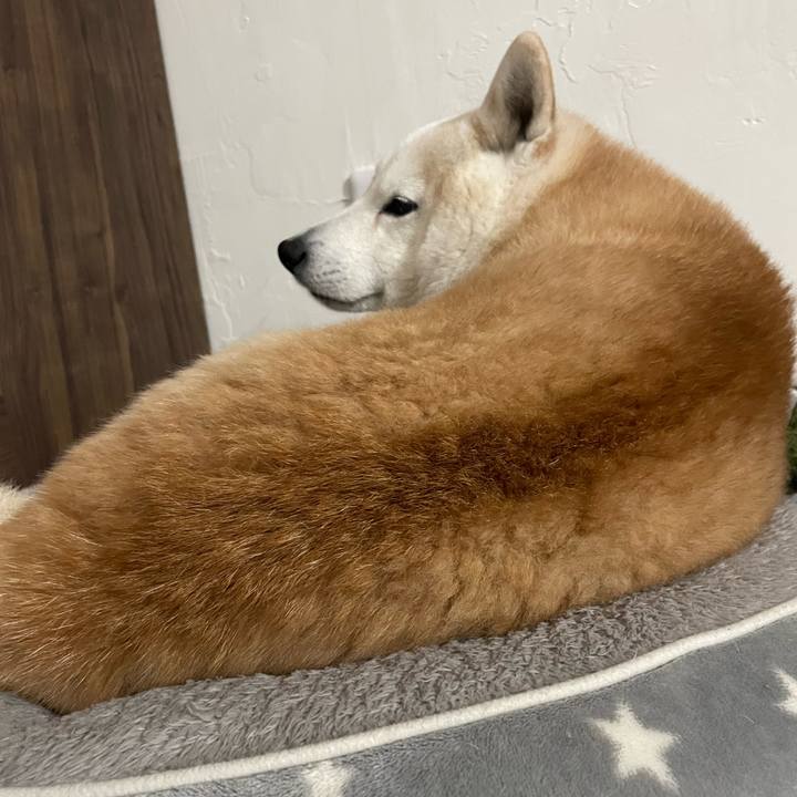 Bc590e2d 703c 4682 9572 b096844b4109 1647044068494