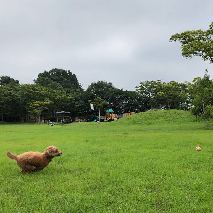 Bc5925ff a299 45a7 9bef 740cbfd61855 1565052821554