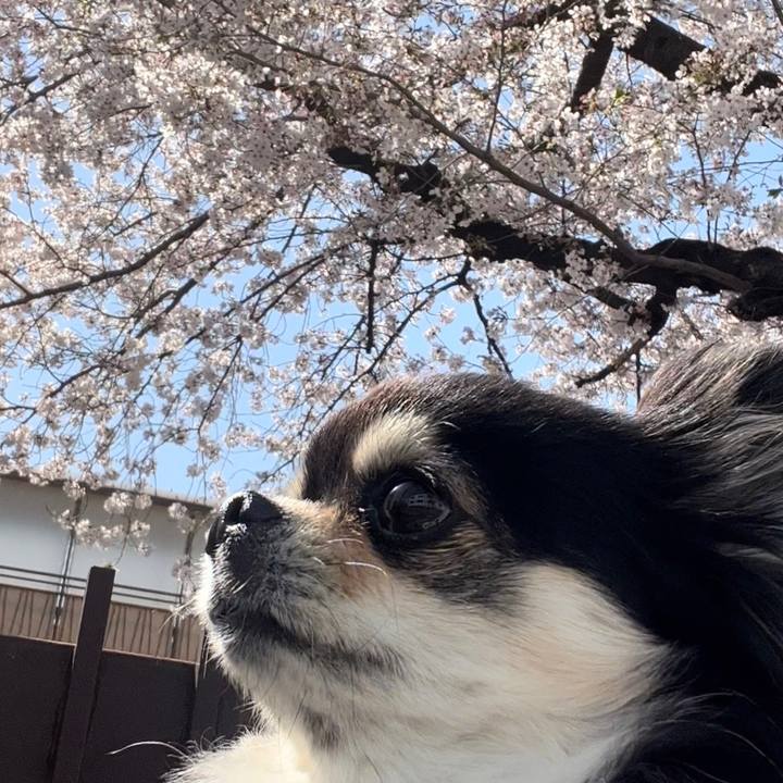 Bc5964e4 3342 475d 9b4c bc1cd1e1be40 1680304089623