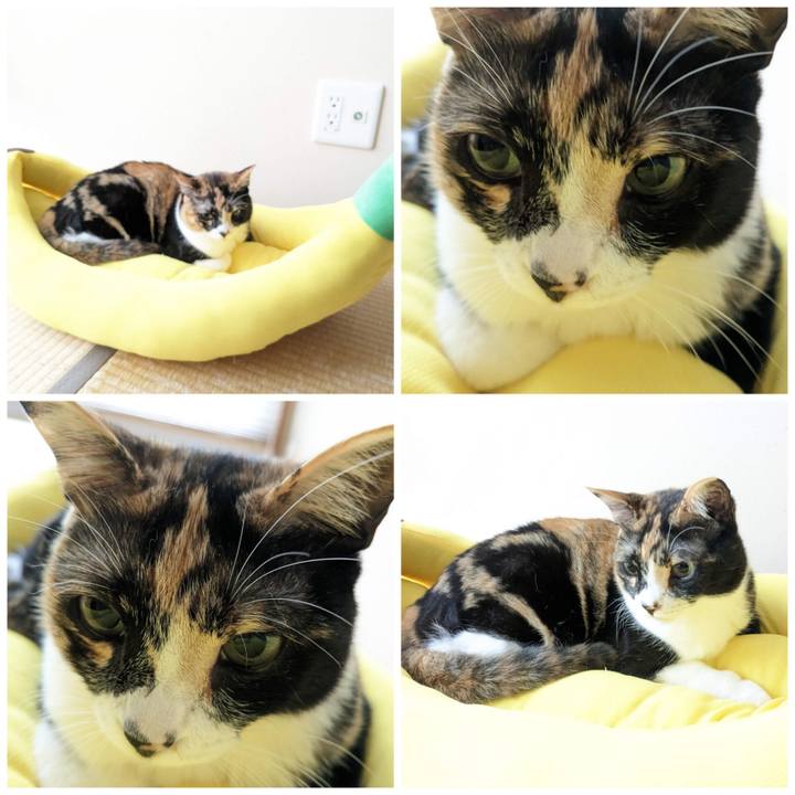 Bc599c8b 87a0 4d94 b8b4 0777bc93c092 1684562259003