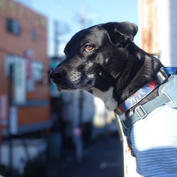 Bc59bd45 0967 4a59 a388 8a42a6c86c69 1708997655226