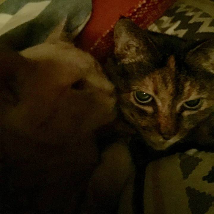 Bc59d611 bc6e 4330 914f 6e2487e59f73 1573584674380