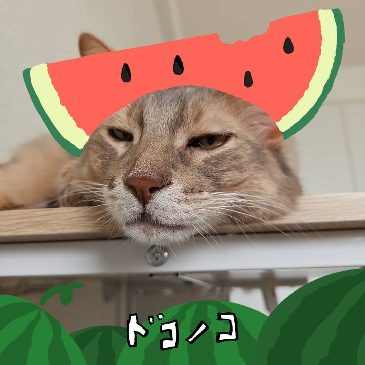 Bc59d990 cd7c 4607 ab27 97637b2ee66e 1720754983081