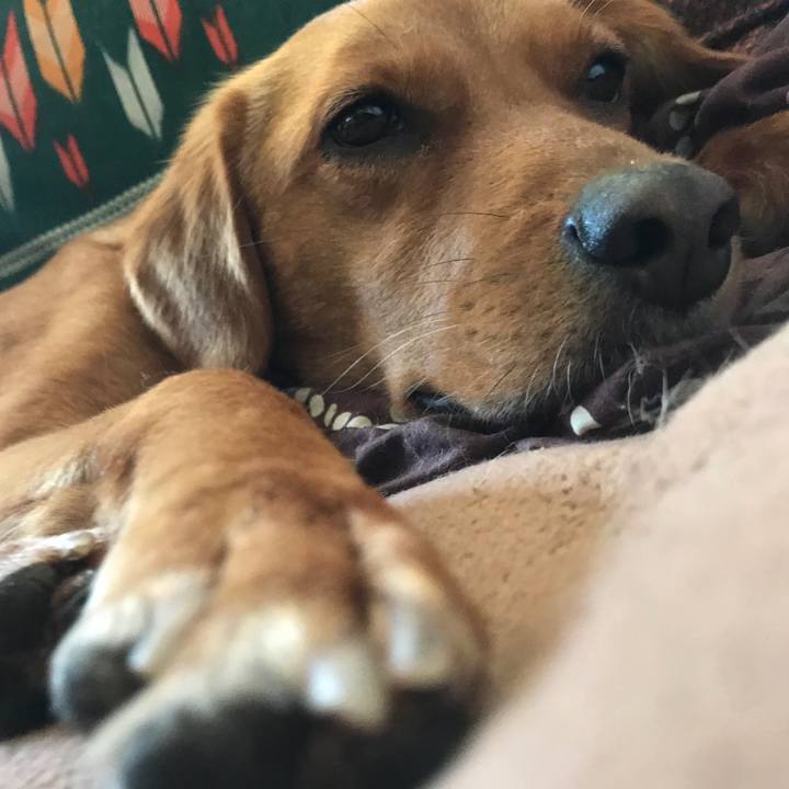 Bc59e893 ae2f 4c42 b6b4 d43222a7b276 1519619149121