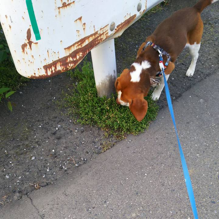 Bc59f356 677d 4356 90a2 abcda32f160f 1588331167186