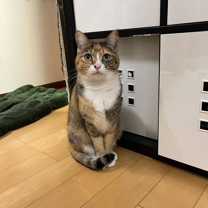 Bc5a161e cc18 4cf9 890e 9ea86ee3589d 1706141207511