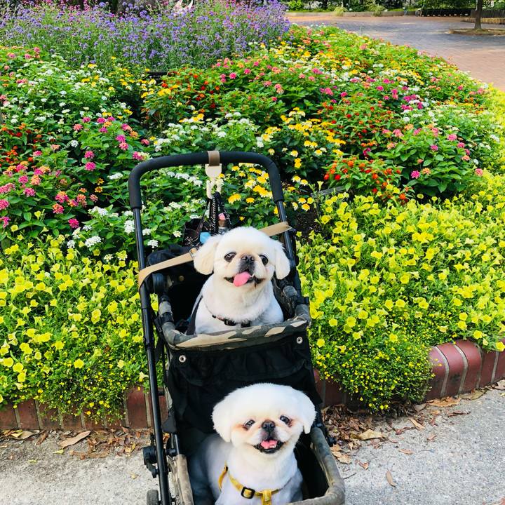 Bc5a32a9 0c75 4a99 9aa9 ddeb05a8f056 1627690431221