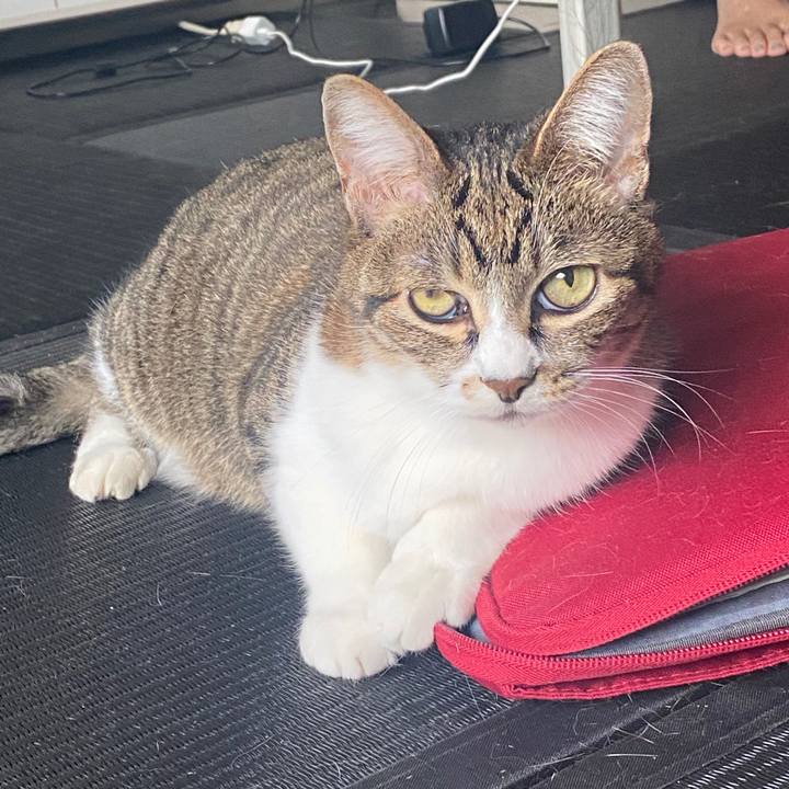 Bc5a3817 ad43 4640 a83a da63194b5741 1588583945680