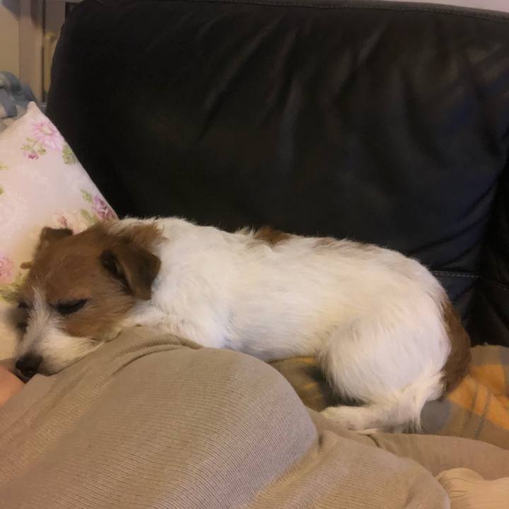 Bc5a7823 9223 40d0 b4bc 7f4689501c2b 1573042095548