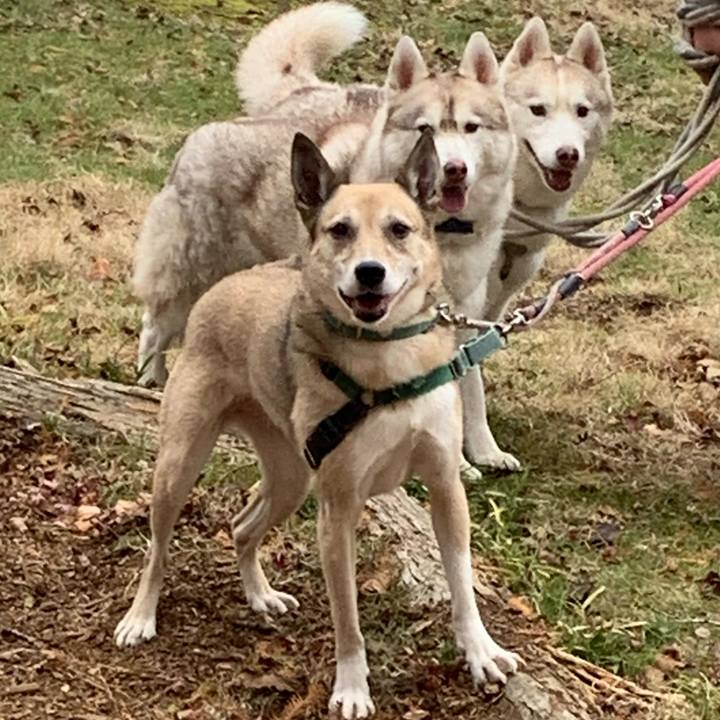 Bc5a7f40 a0df 4b64 bd0f 874a5912d5f9 1702093052449