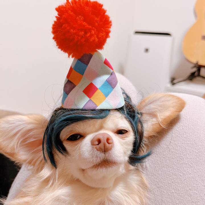 Bc5abb92 a21a 4922 b95f 7b6d6ca3a85f 1669630983160